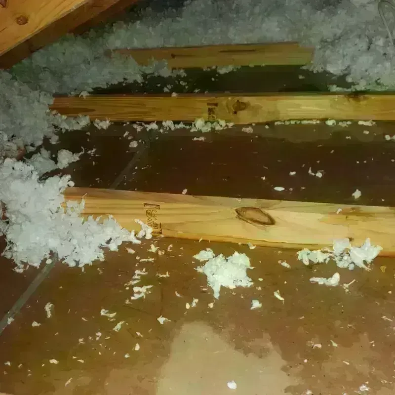 Attic Water Damage in Big Pine, CA