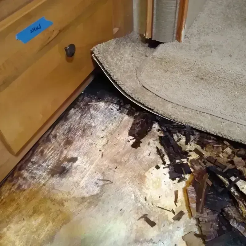 Wood Floor Water Damage in Big Pine, CA